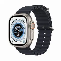 Used Apple Watch Ultra 49mm Titanium GPS + Cellular Natural Titanium — Very Good