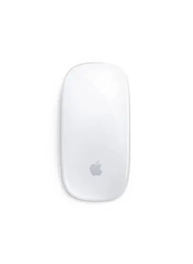 Used Apple Magic Mouse 2 Lightning Silver — Very Good