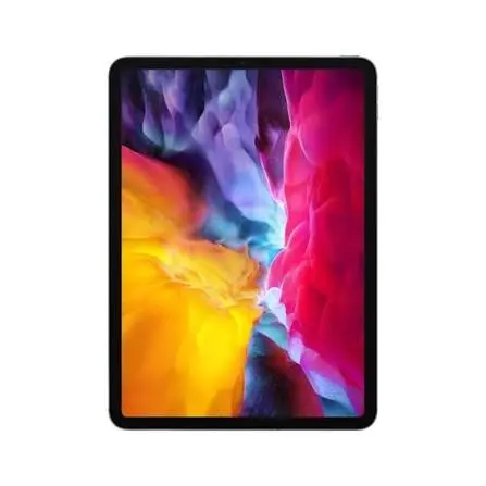 Used Apple iPad Pro 11-inch (2nd generation) Wi-Fi A12Z Bionic 256GB Space Gray — Very Good